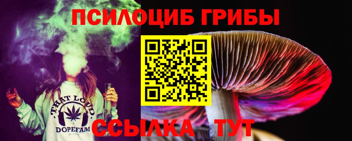 Славгород  Галлюциногенные грибы Psilocybe  Вход с VPN 