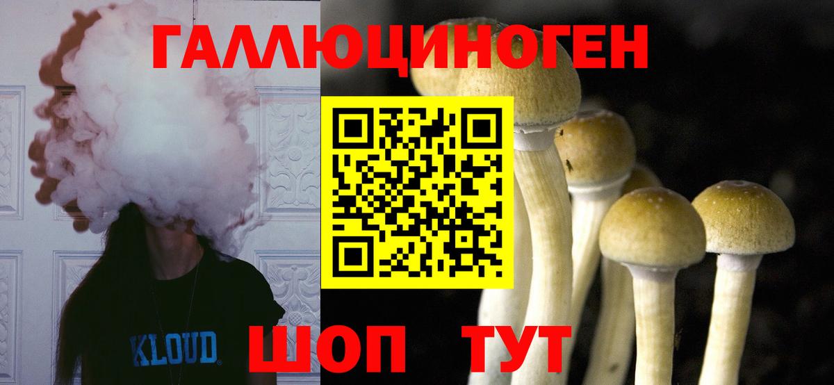 Псилоцибиновые грибы мухоморы Славгород